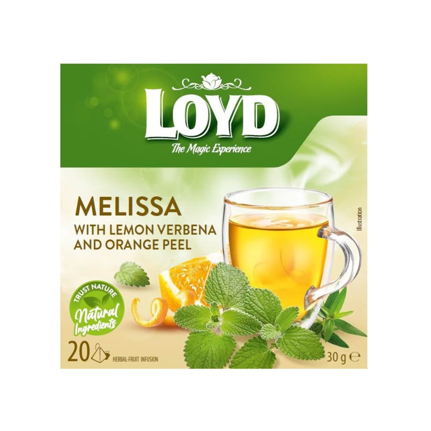 Loyd Melissa with Lemon Tea